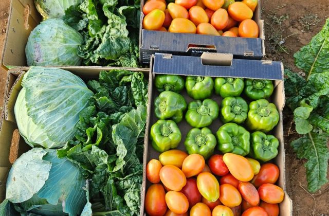 Snapinsta.app_337120439_761836388587710_6658906472905599400_n_1080